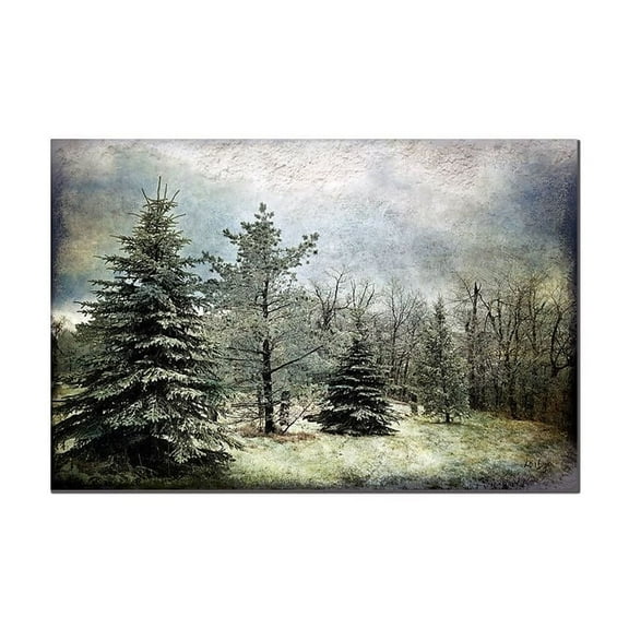 Trademark Fine Art "Frosty" Canvas Art by Lois Bryan