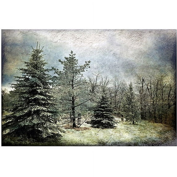 Trademark Fine Art "Frosty" Canvas Art by Lois Bryan