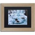 thumbnail image 1 of Trademark Fine Art "Frosty Falls" Canvas Art by Michael Blanchette Photography Black Matte, Birch Frame, 1 of 1