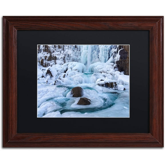 Trademark Fine Art "Frosty Falls" Canvas Art by Michael Blanchette Photography Black Matte, Wood Frame