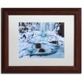 thumbnail image 1 of Trademark Fine Art "Frosty Falls" Canvas Art by Michael Blanchette Photography White Matte, Wood Frame, 1 of 4
