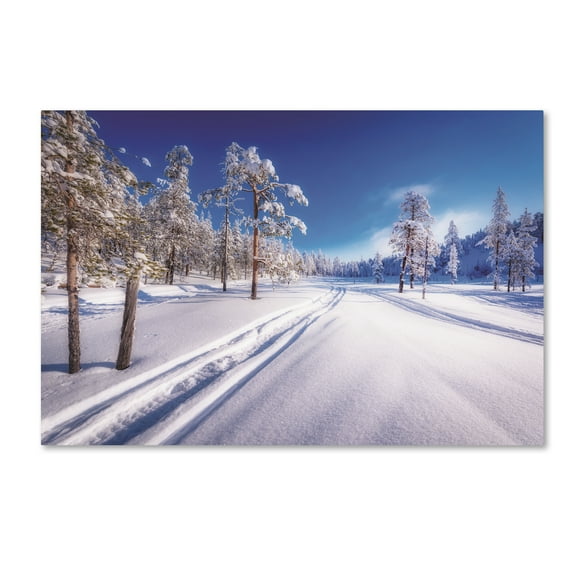Trademark Fine Art 'Frozen Exposure' Canvas Art by Philippe Sainte-Laudy