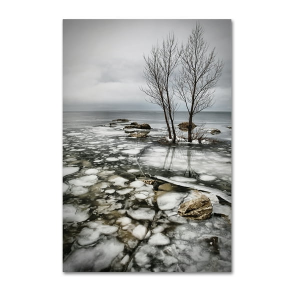 Trademark Fine Art 'Frozen Lake' Canvas Art by Vedran Vidak