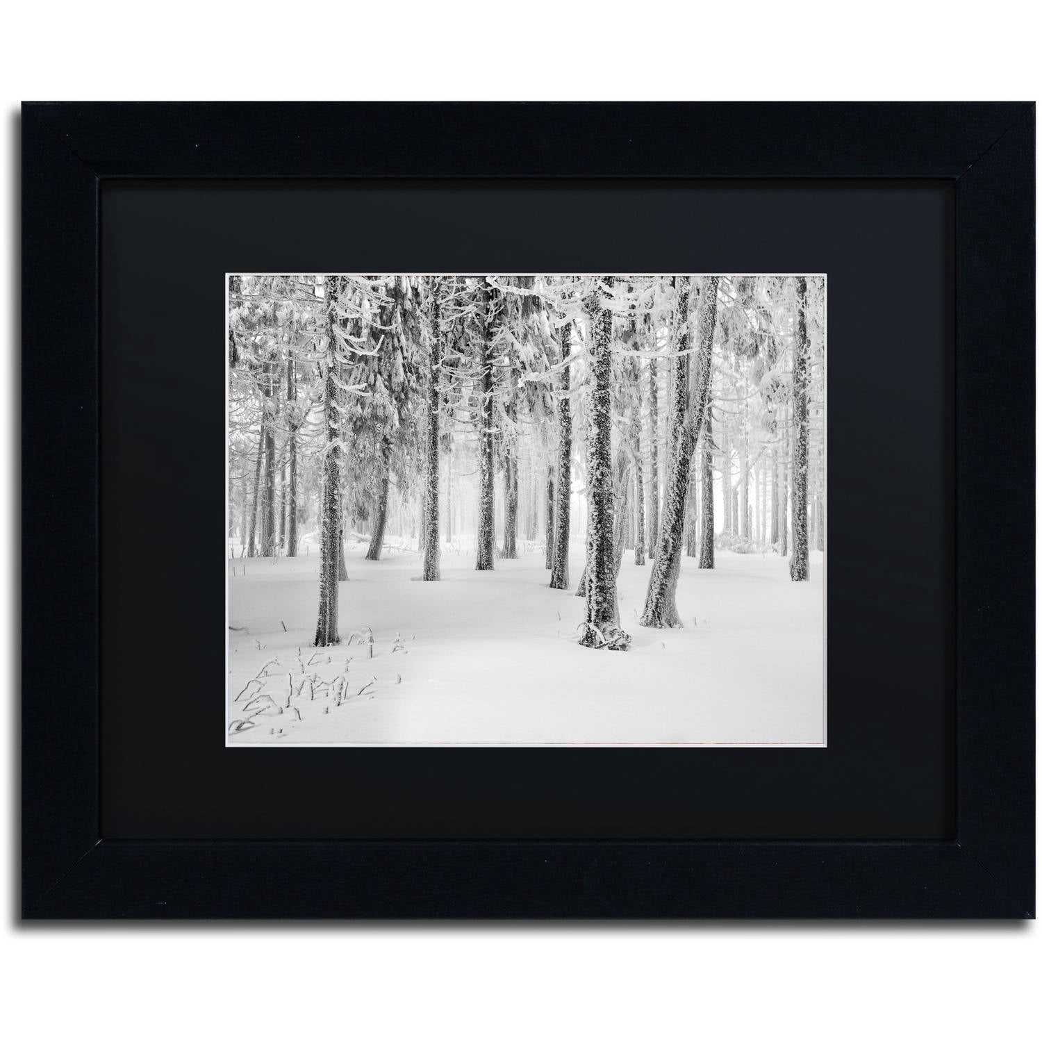 Trademark Fine Art "Frozen World" Canvas Art by Philippe Sainte-Laudy, Black Matte, Black Frame