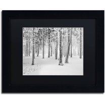 Trademark Fine Art "Frozen World" Canvas Art by Philippe Sainte-Laudy, Black Matte, Black Frame