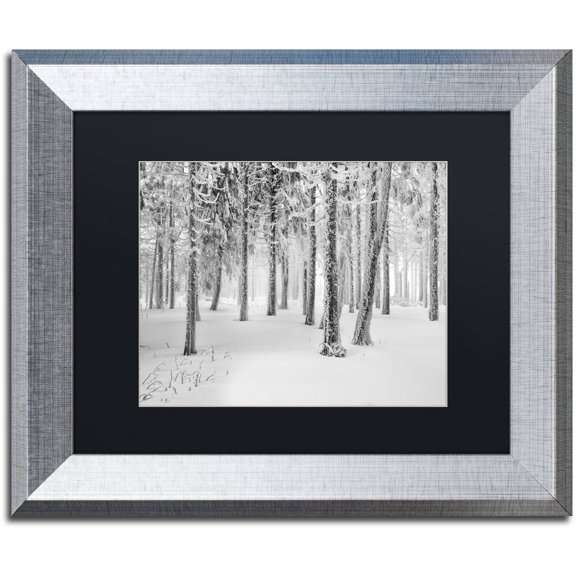 Trademark Fine Art "Frozen World" Canvas Art by Philippe Sainte-Laudy, Black Matte, Silver Frame