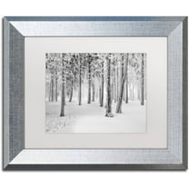Trademark Fine Art "Frozen World" Canvas Art by Philippe Sainte-Laudy, White Matte, Silver Frame