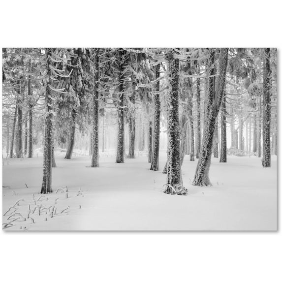 Trademark Fine Art "Frozen World" Canvas Art by Philippe Sainte-Laudy