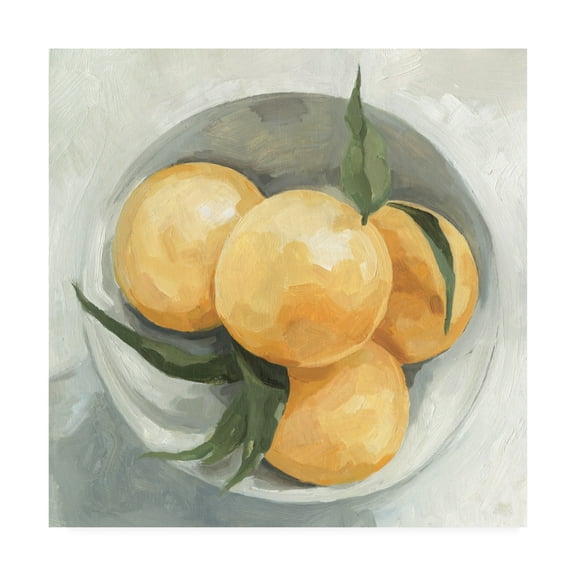 Trademark Fine Art 'Fruit Bowl I' Canvas Art by Emma Scarvey