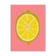 thumbnail image 1 of Trademark Fine Art 'Fruit Party II' Canvas Art by Chariklia Zarris, 1 of 3