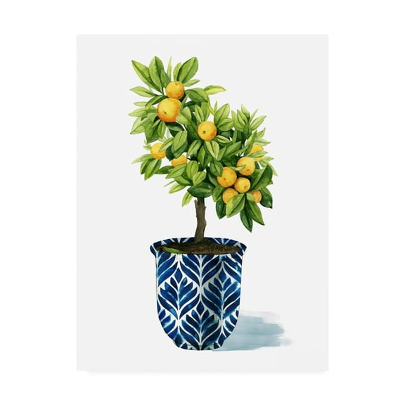 Trademark Fine Art 'Fruit Tree I' Canvas Art by Grace Popp