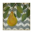 thumbnail image 1 of Trademark Fine Art 'Fruit and Pattern II' Canvas Art by Megan Meagher, 1 of 4