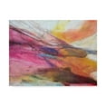 thumbnail image 1 of Trademark Fine Art 'Fuchsia Expression II' Canvas Art by Gabriela Villarreal, 1 of 4