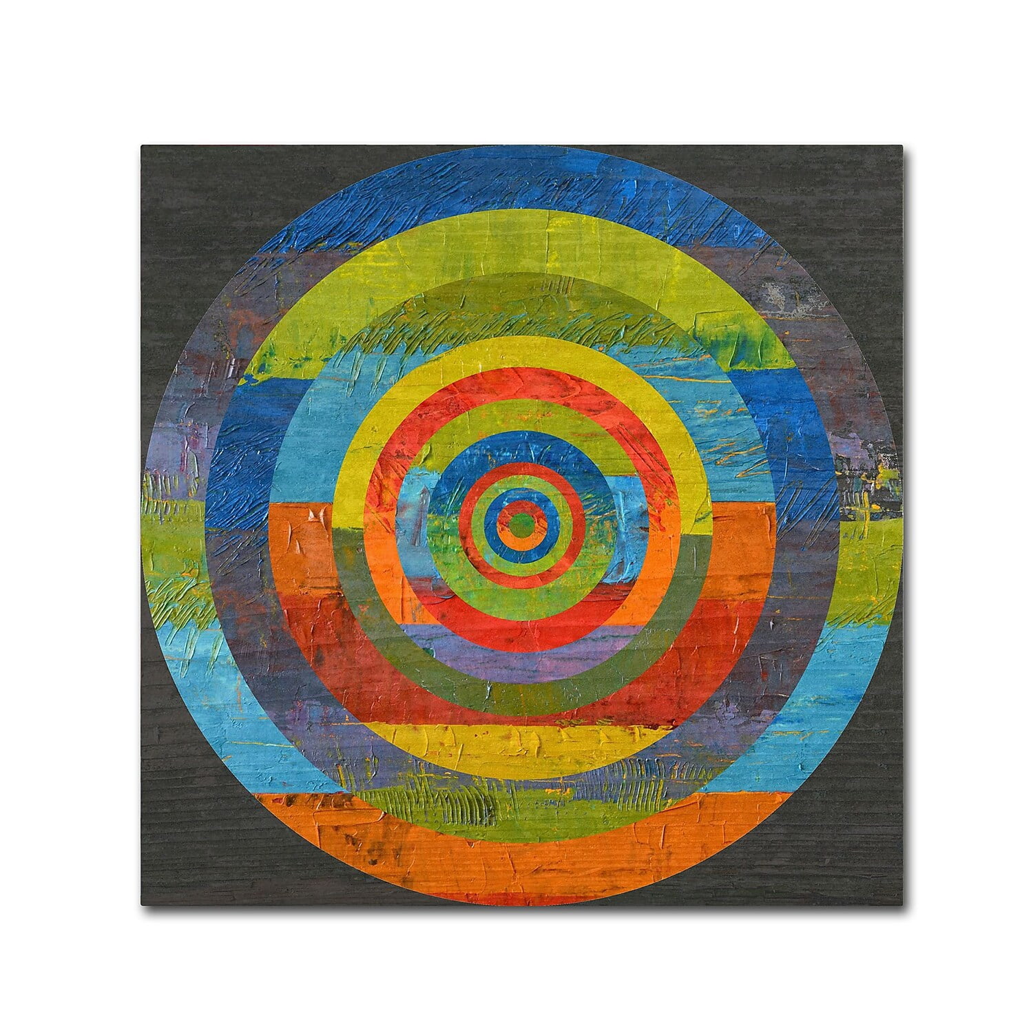 Trademark Fine Art "Full Circle" Canvas Art by Michelle Calkins