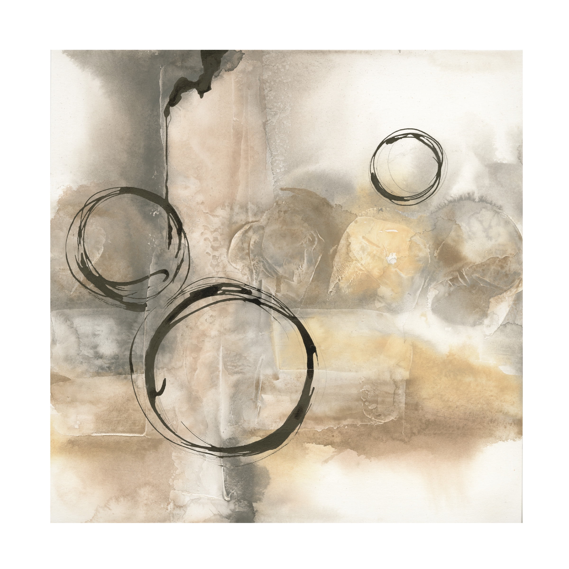 Trademark Fine Art 'Full Circle I' Canvas Art by Chris Paschke