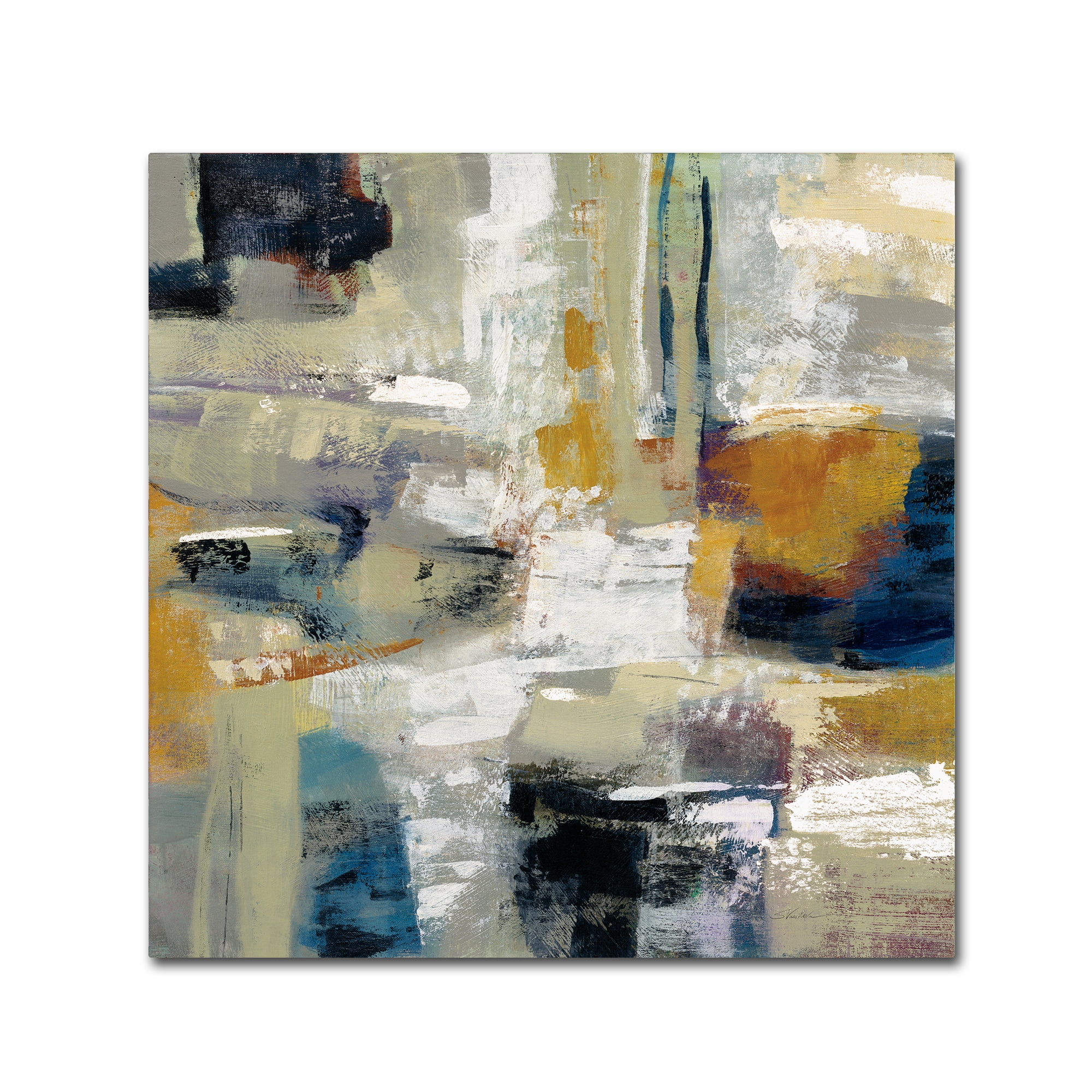 Trademark Fine Art 'Full Moon I with White' Canvas Art by Silvia Vassileva