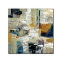 Trademark Fine Art 'Full Moon I with White' Canvas Art by Silvia Vassileva