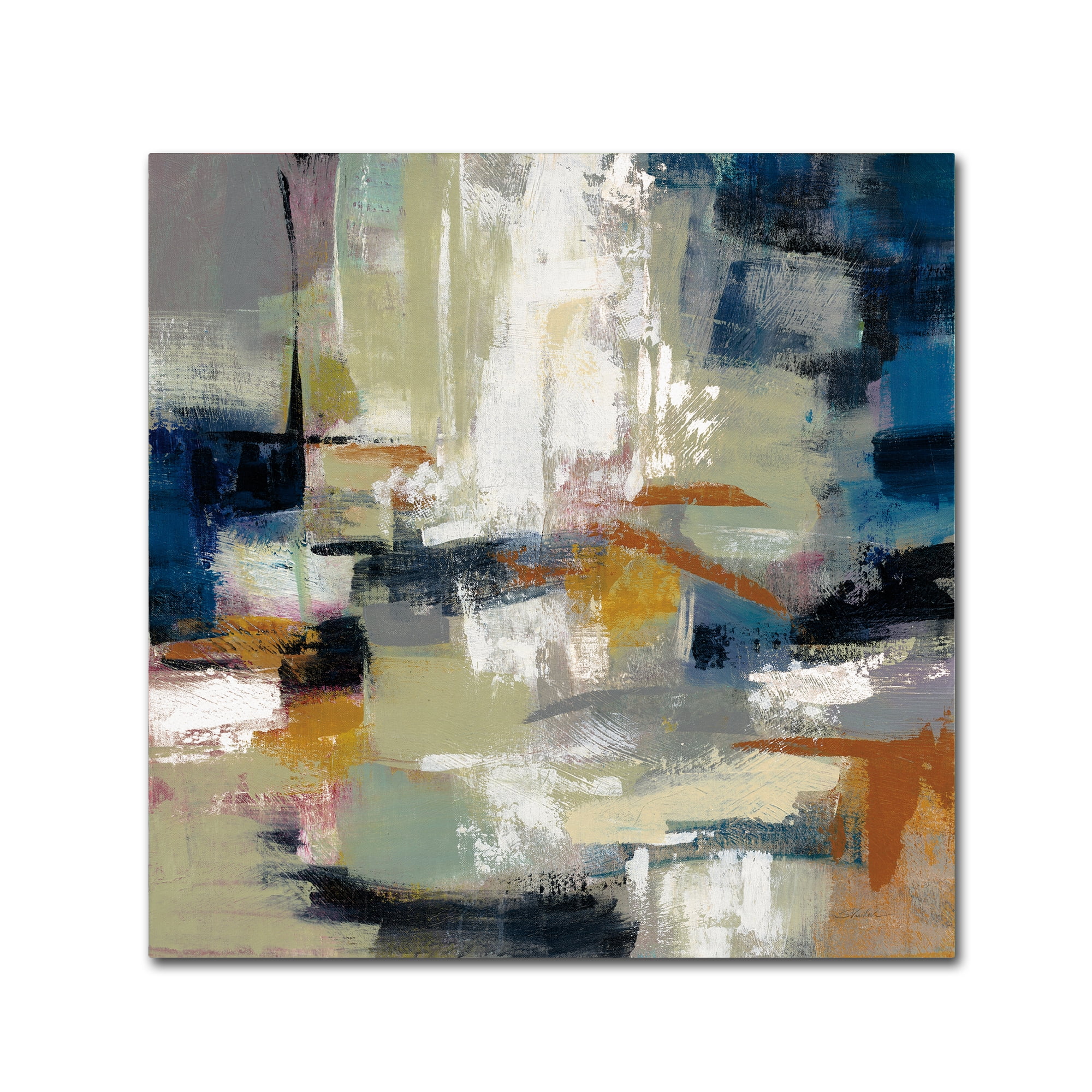 Trademark Fine Art 'Full Moon II with White' Canvas Art by Silvia Vassileva