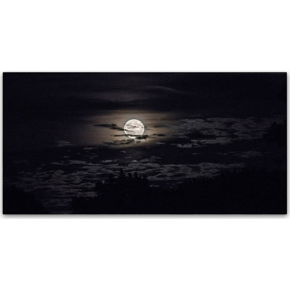Trademark Fine Art "Full Moon in Aquarius" Canvas Art by Kurt Shaffer
