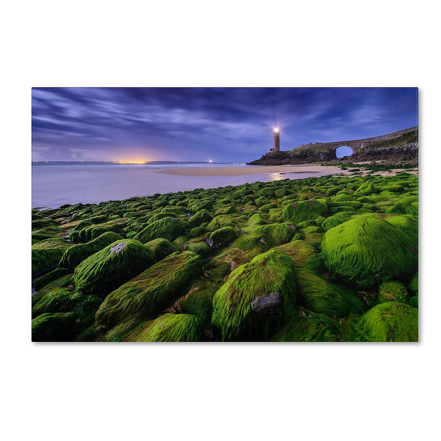 Trademark Fine Art "Full Moon in Brittany" Canvas Art by Mathieu Rivrin