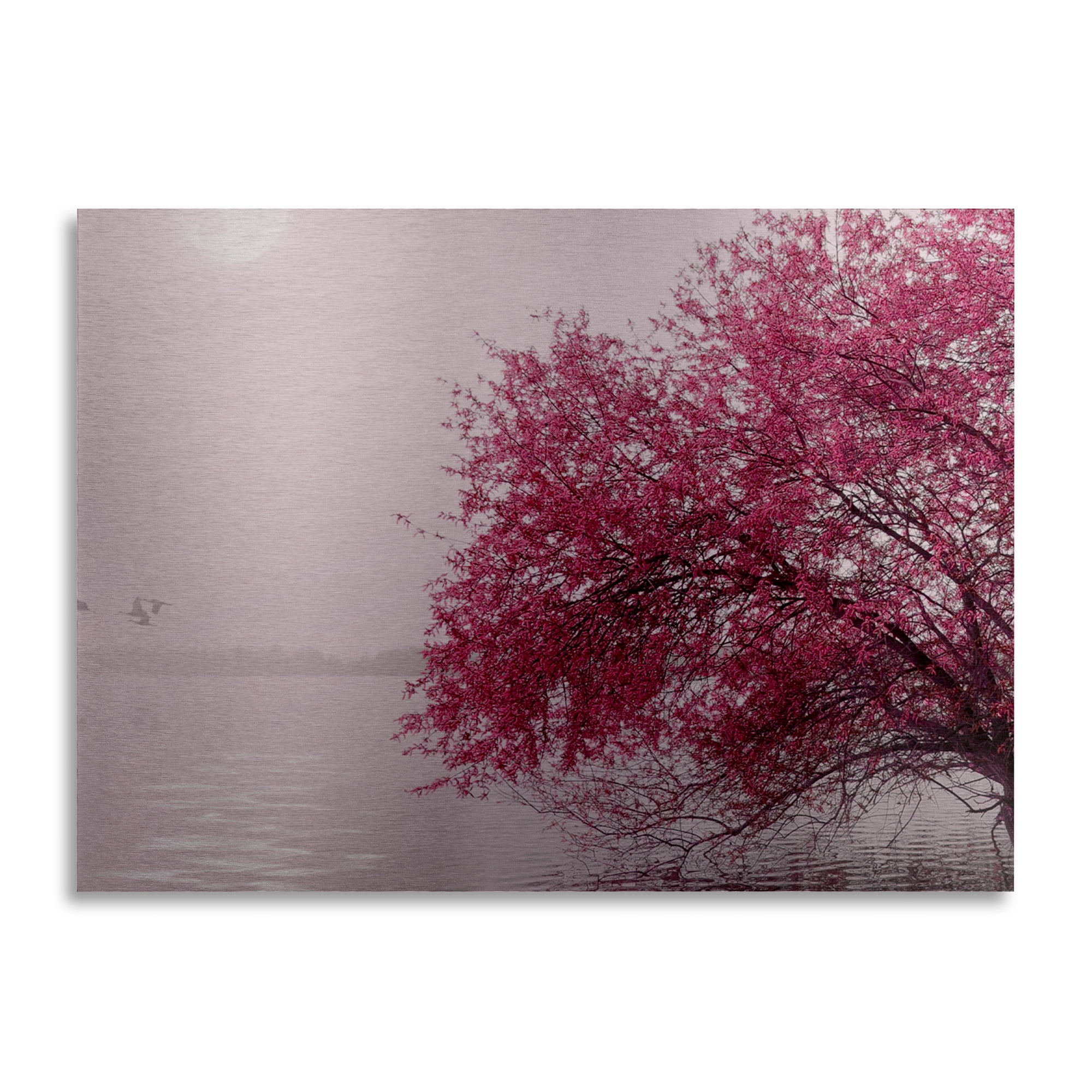 Trademark Fine Art 'Full Moon on the Lake' Brushed Aluminum Wall Art Art by Philippe Sainte-Laudy