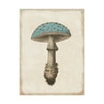 thumbnail image 1 of Trademark Fine Art 'Funghi Velenosi Blue Green' Canvas Art by Wild Apple Portfolio, 1 of 3