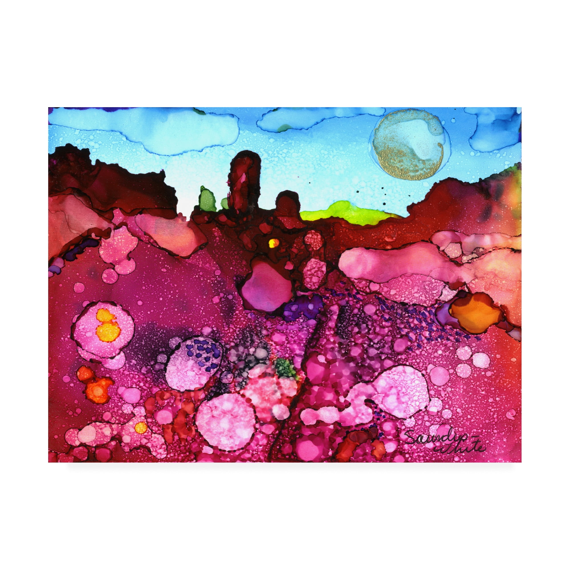 Trademark Fine Art 'Fuschia Strata' Canvas Art by Pat Saunders-White