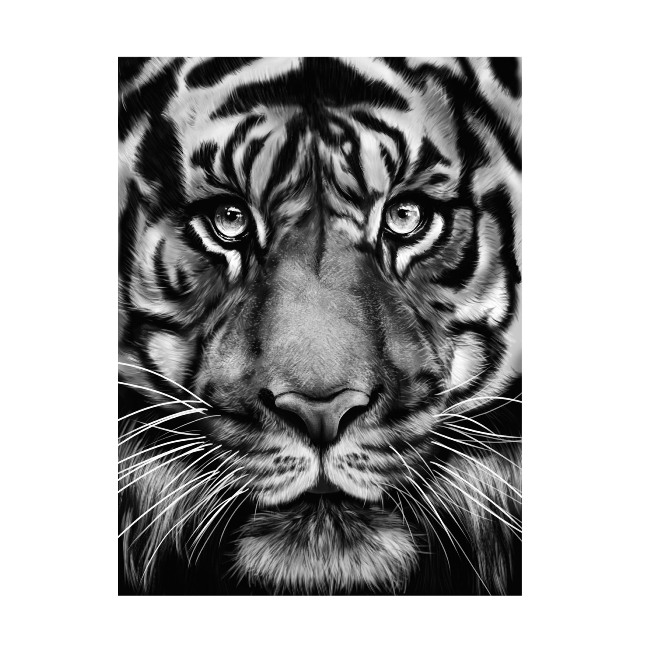 Trademark Fine Art Gabriella Roberg Tiger Canvas Wall Art