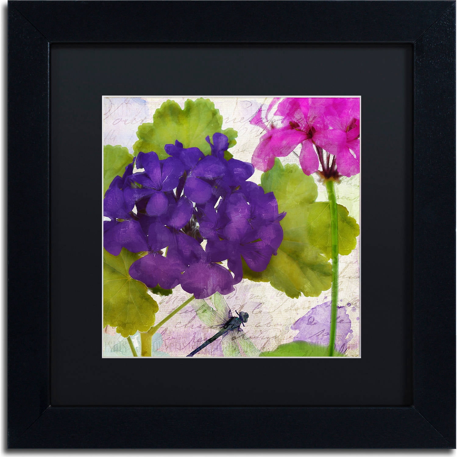 Trademark Fine Art "Gaia I" Canvas Art by Color Bakery, Black Matte, Black Frame