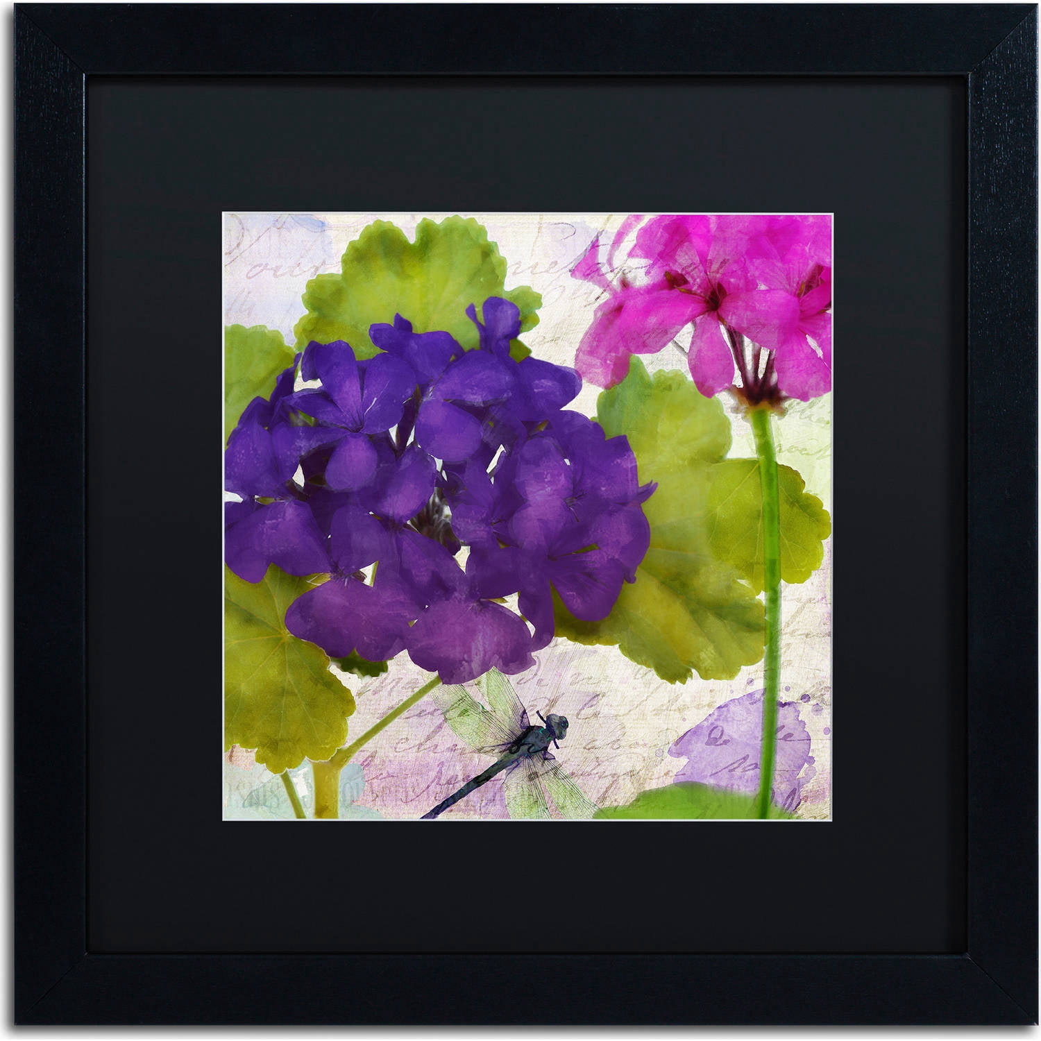 Trademark Fine Art "Gaia I" Canvas Art by Color Bakery, Black Matte, Black Frame