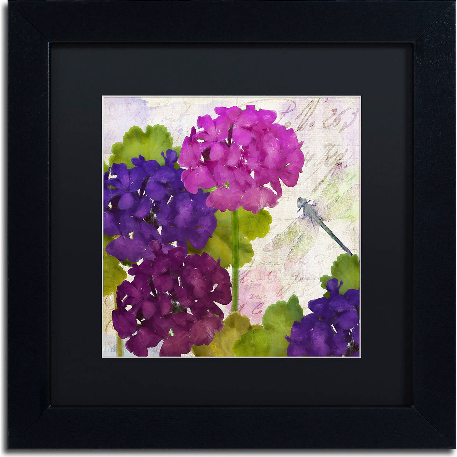 Trademark Fine Art "Gaia II" Canvas Art by Color Bakery, Black Matte, Black Frame