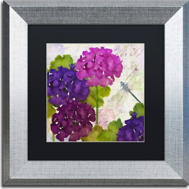 Trademark Fine Art "Gaia II" Canvas Art by Color Bakery, Black Matte, Silver Frame