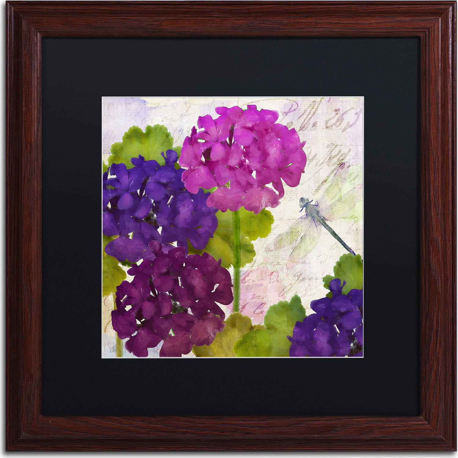Trademark Fine Art "Gaia II" Canvas Art by Color Bakery, Black Matte, Wood Frame