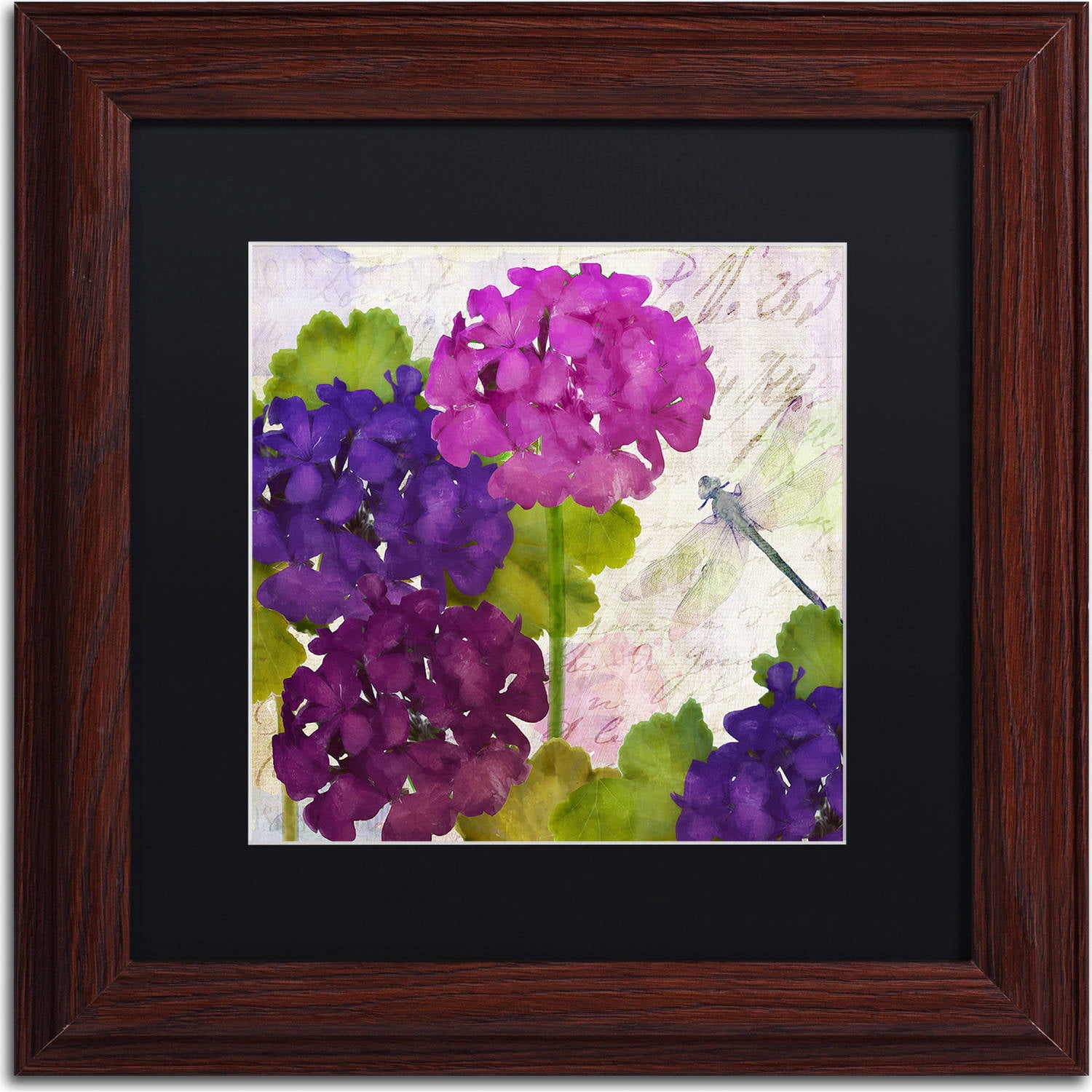 Trademark Fine Art "Gaia II" Canvas Art by Color Bakery, Black Matte, Wood Frame
