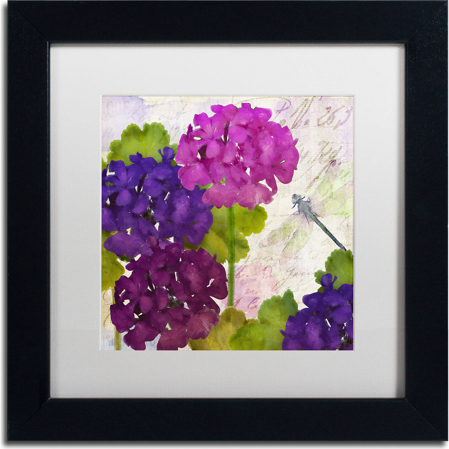 Trademark Fine Art "Gaia II" Canvas Art by Color Bakery, White Matte, Black Frame