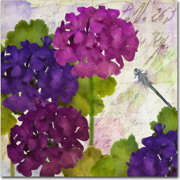 Trademark Fine Art "Gaia II" Canvas Art by Color Bakery