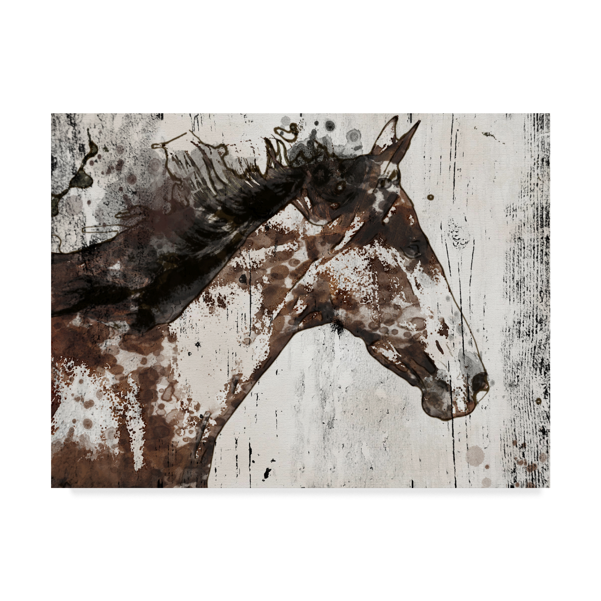 Trademark Fine Art 'Galaxy Horse I' Canvas Art by Irena Orlov