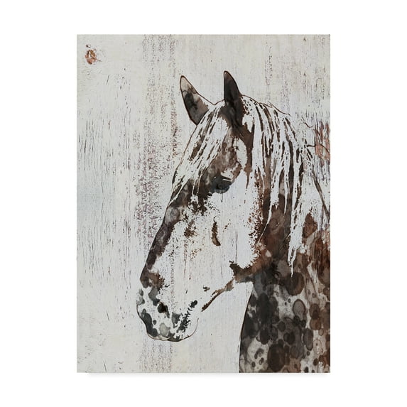 Trademark Fine Art 'Galaxy Horse III' Canvas Art by Irena Orlov