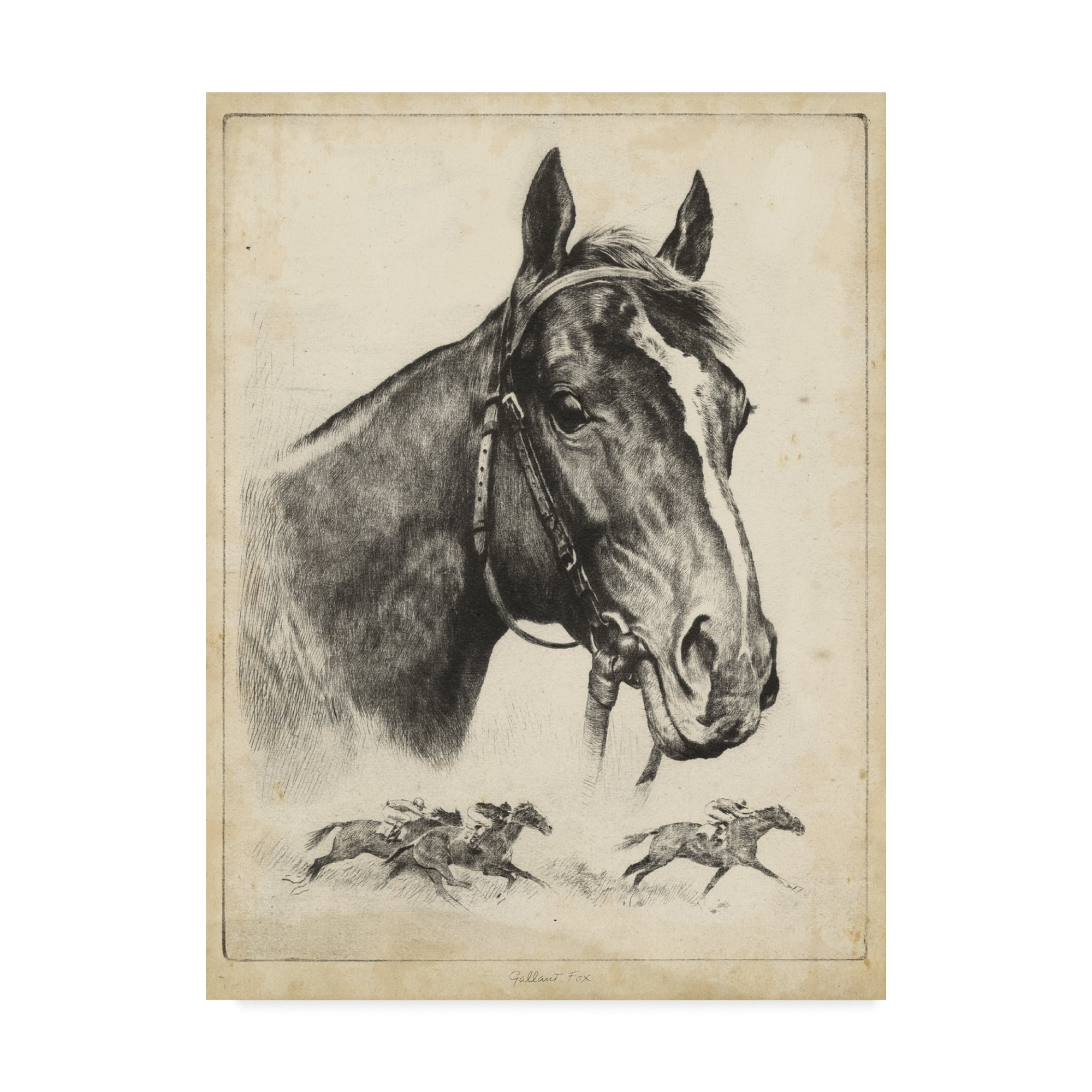Trademark Fine Art 'Gallant Fox' Canvas Art by R.H. Palenske