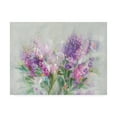 thumbnail image 1 of Trademark Fine Art 'Garden Abundance' Canvas Art by Danhui Nai, 1 of 3
