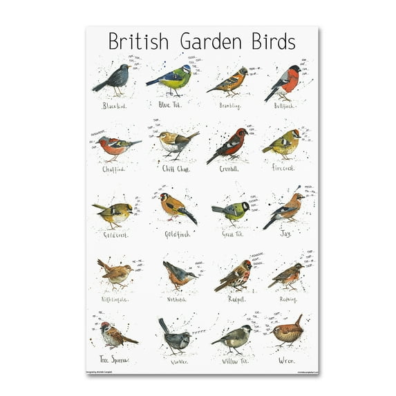 Trademark Fine Art 'Garden Bird Print' Canvas Art by Michelle Campbell