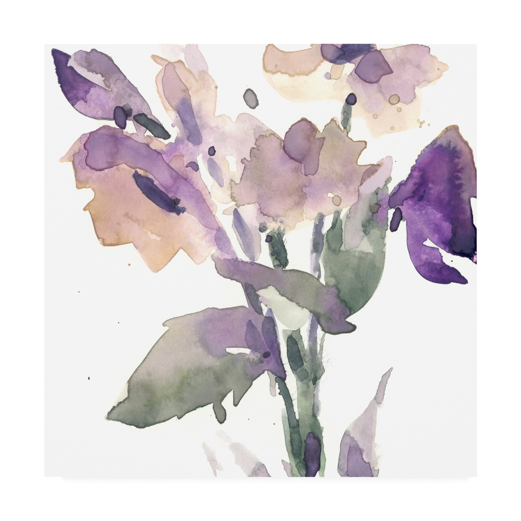 Trademark Fine Art 'Garden Blooms II' Canvas Art by Samuel Dixon