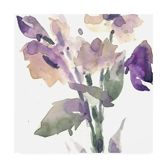 Trademark Fine Art 'Garden Blooms II' Canvas Art by Samuel Dixon