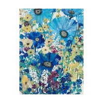 Trademark Fine Art 'Garden Blues I' Canvas Art by Tim OToole