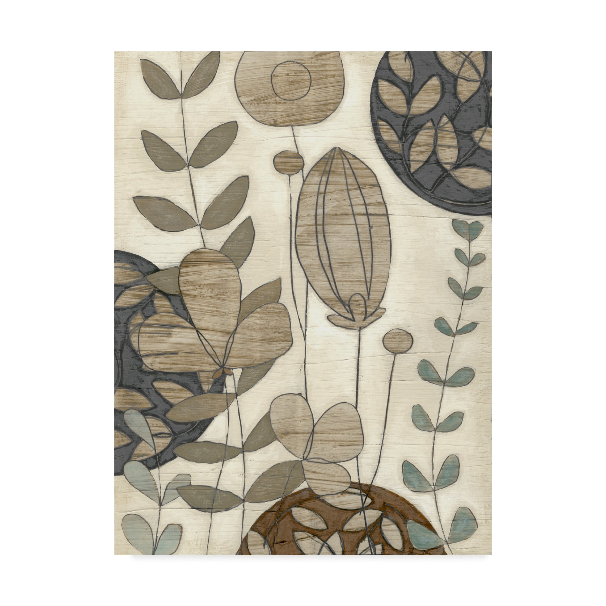Trademark Fine Art 'Garden Contours I' Canvas Art by June Erica Vess