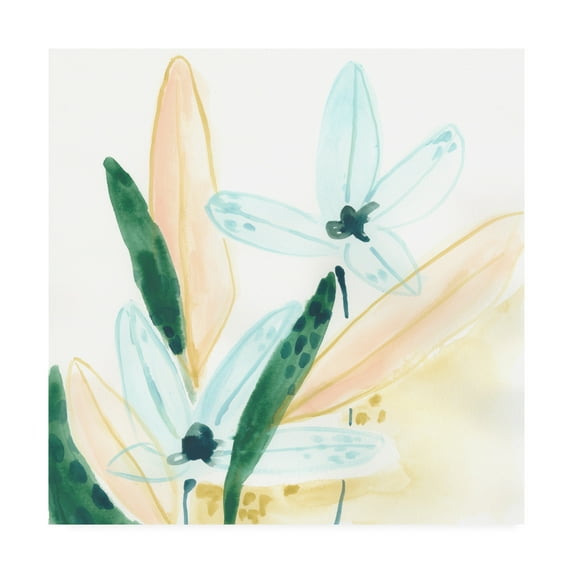 Trademark Fine Art 'Garden Essence IX' Canvas Art by June Erica Vess