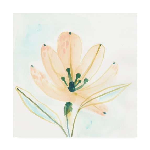 Trademark Fine Art 'Garden Essence VI' Canvas Art by June Erica Vess