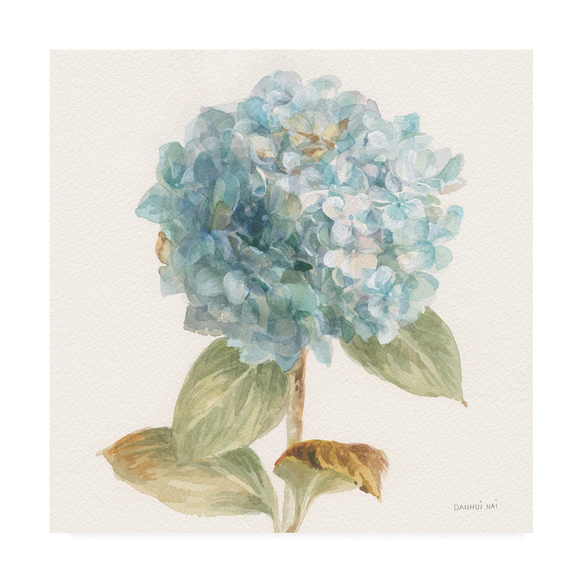 Blue Hydrangea Floral Canvas Art, 18 x 18 Inches