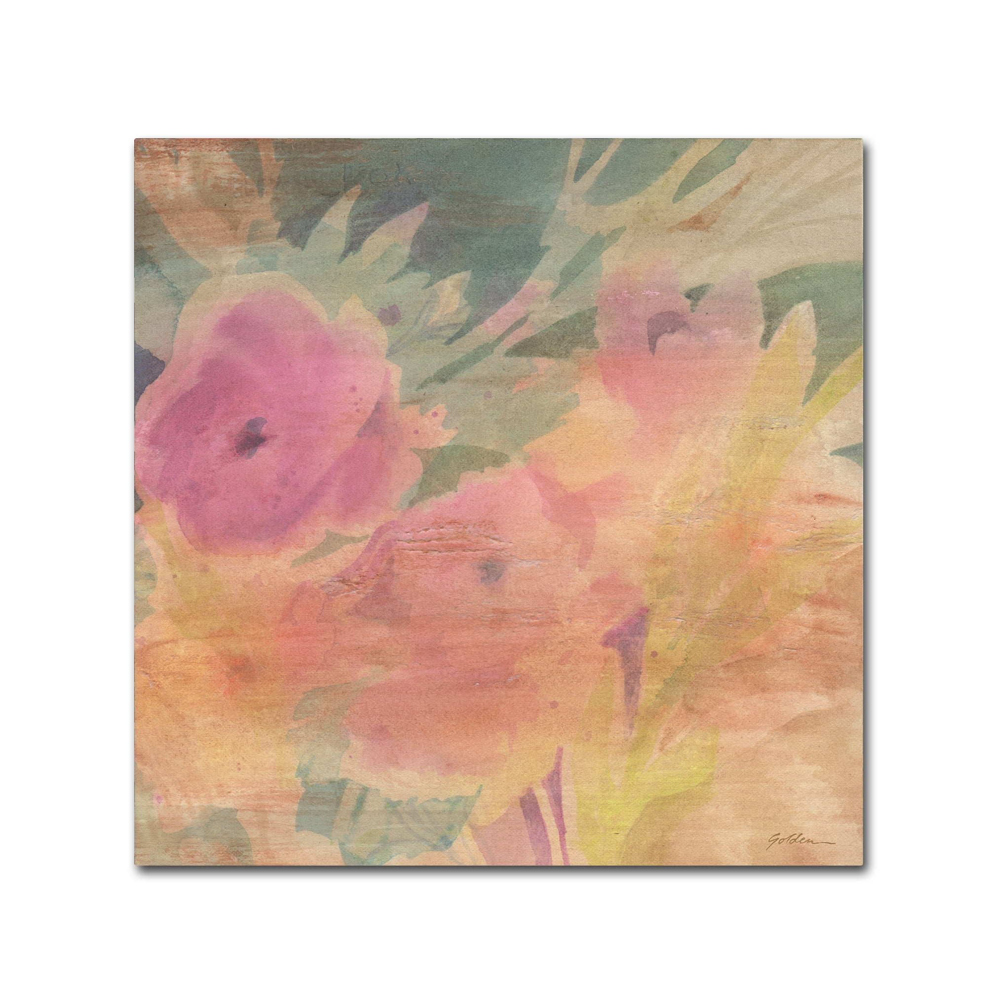 Trademark Fine Art 'Garden Nostalgia' Canvas Art by Sheila Golden