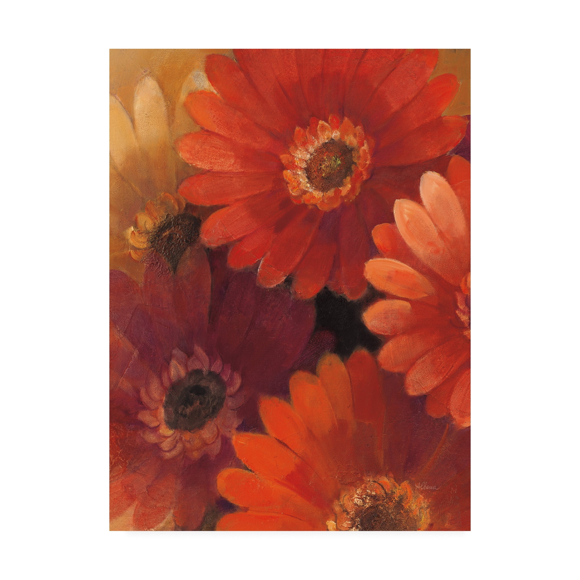 Trademark Fine Art 'Garden Of Gerberas Ii' Canvas Art by Albena Hristova